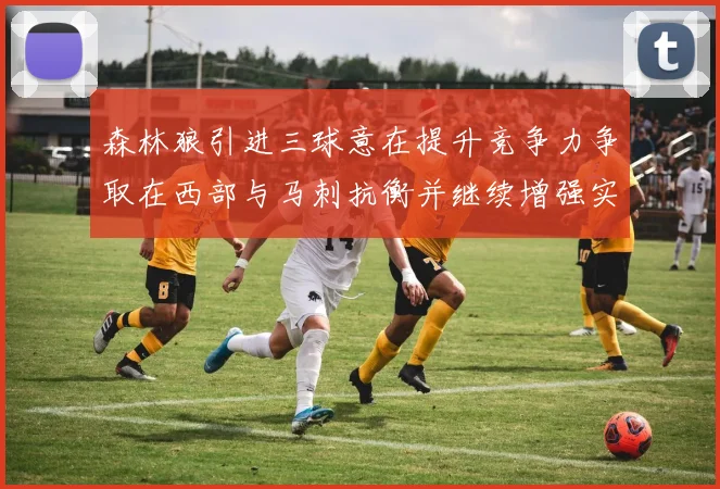 森林狼引进三球意在提升竞争力争取在西部与马刺抗衡并继续增强实力
